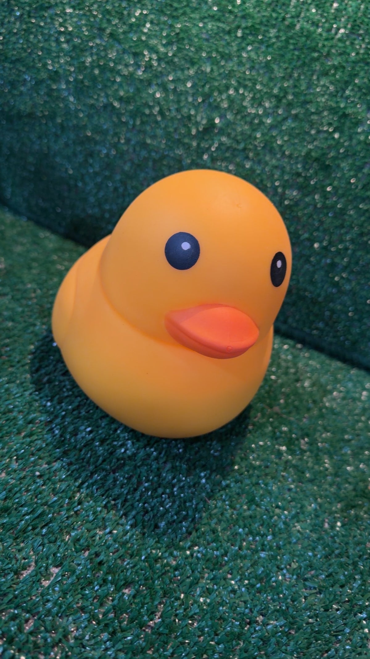 Jumbo squishy Duck