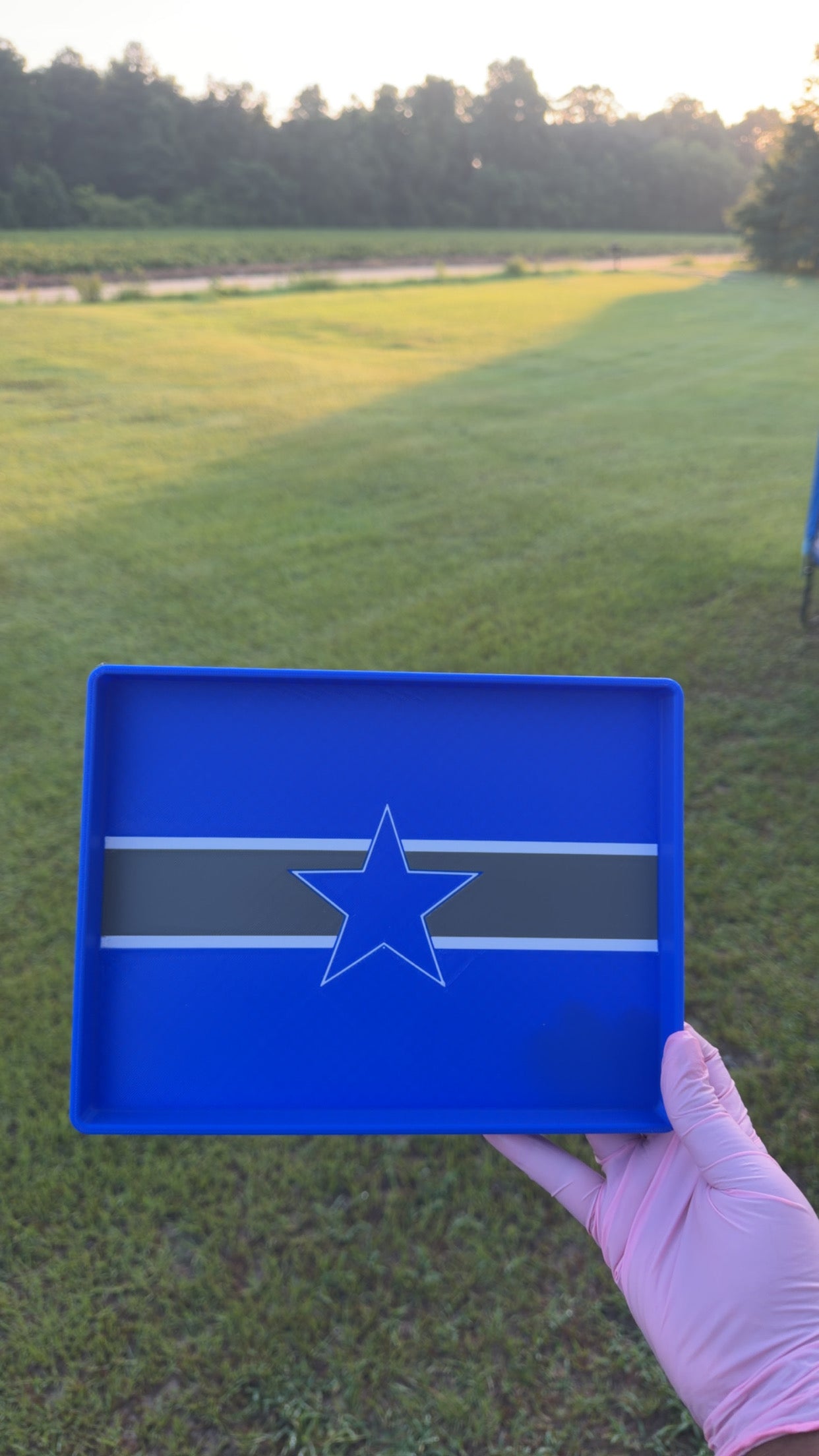 Cowboys Game Day Tray