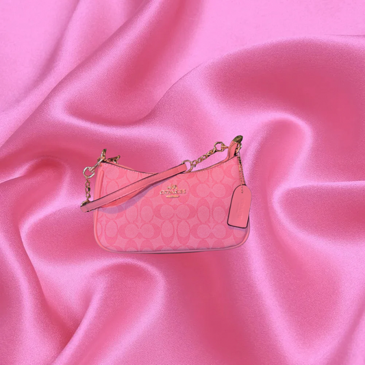 Coach Teri Purse