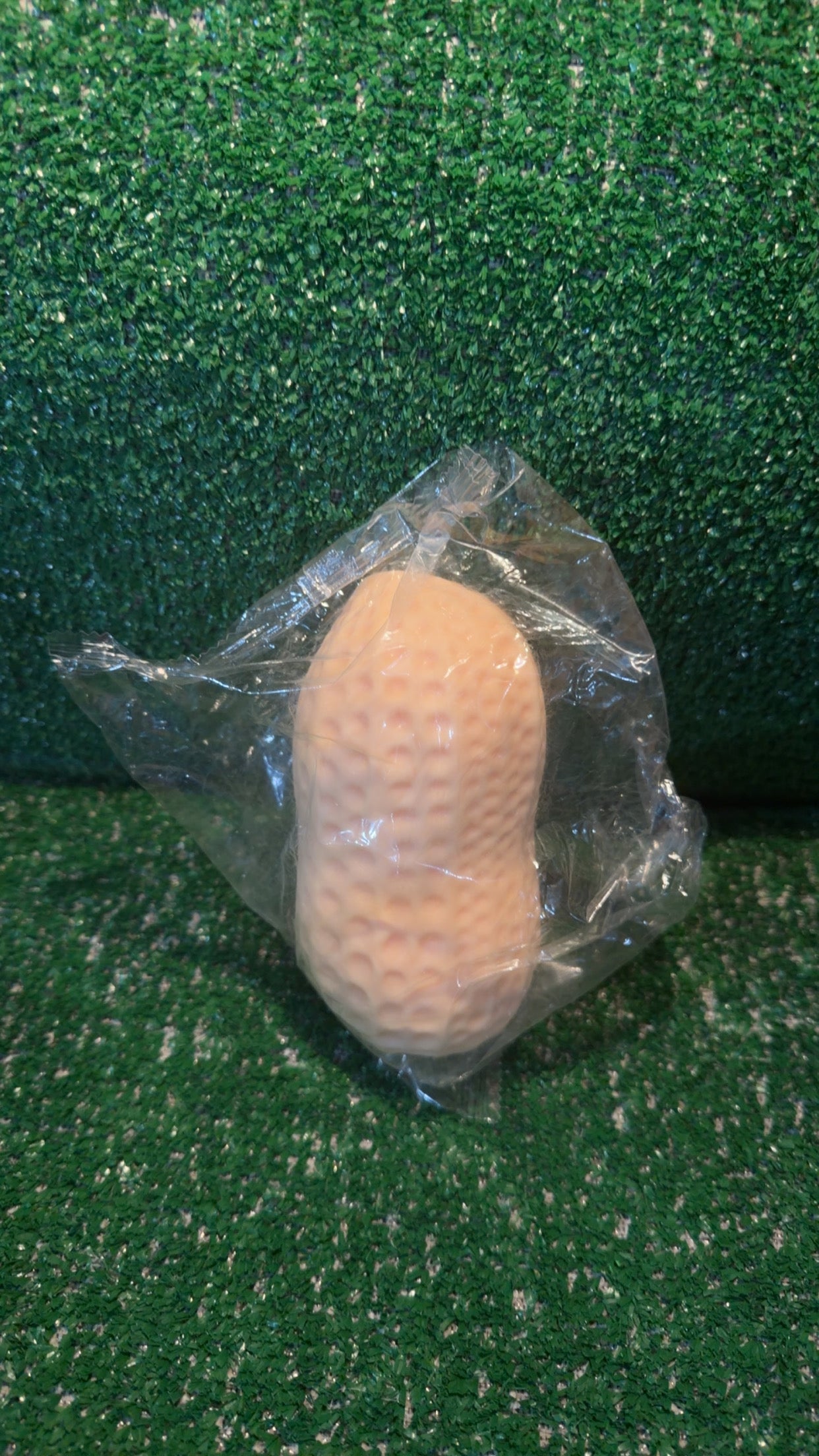 Jumbo Squishy Peanut