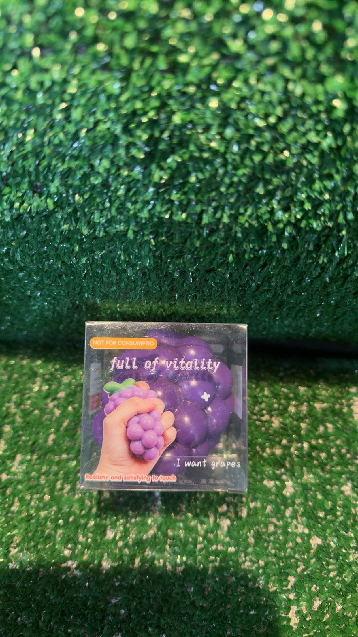 Crunchy Grapes Squishy